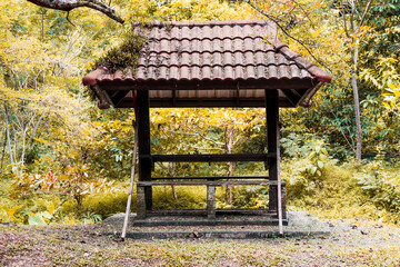 Beautiful old pavilions in the spring forest.