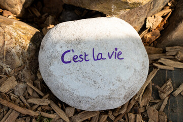 Inspirational quote on stone c'est la vie