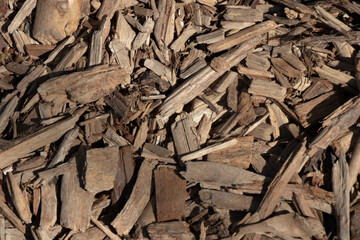 texture background of wood bark chips