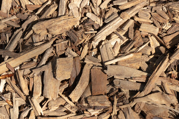texture background of wood bark chips