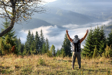 Tourist with backpack in mountains on sunny day, back view. Space for text