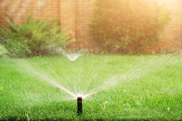 Green grass being watered with automatic sprinkler system sunny day
