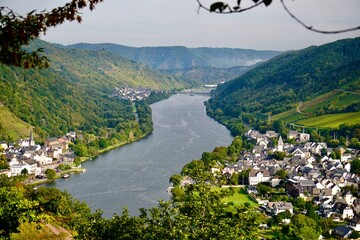 Moselmorgenstimmung in Nebelschwaden über Bullay, Alf und St. Aldegund