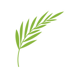 Exotic doodle leaf. Element. Simple vector palm leaf.