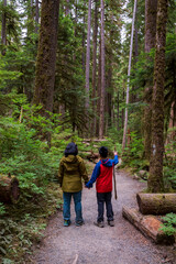 Obraz premium Asian family of mother and son hiking on the pacific northwest rain forest in Olympic national Park in Washington state.