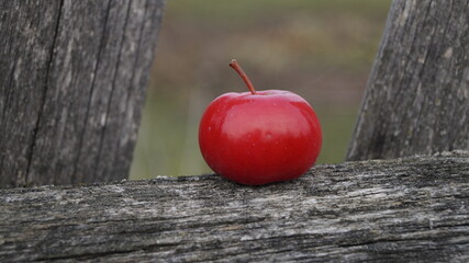 red apple on wooden background