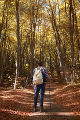 Obraz premium Caucasian hipster male model outdoors in nature. Colorful landscape with trees, rural road, orange and red leaves, sun in autumn.