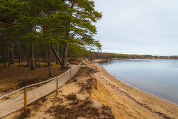 Wooden path in the forest by the sandy shore of Baltic sea