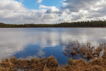 Swamp lake with small trees around. Estonia.
