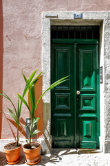 Coconut Plants against Pink Wall and Green Door, Lisbon, Portugal