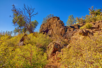 Ruins of Rattlesnake Canyon Sedona AZ