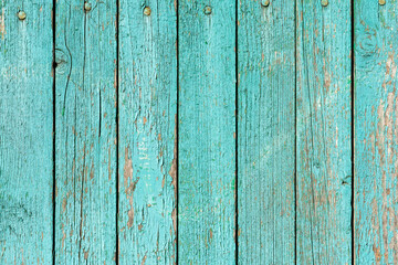 Fototapeta na wymiar Old green wooden wall with cracked paint, background texture