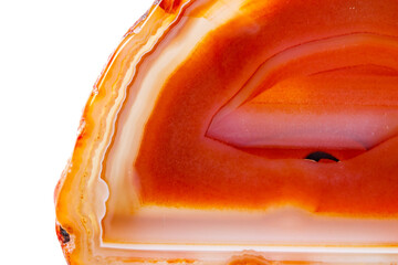 Macro mineral orange agate in crystals on white background