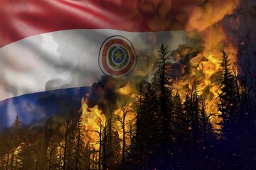 Forest fire fight concept, natural disaster - heavy fire in the woods on Paraguay flag background - 3D illustration of nature
