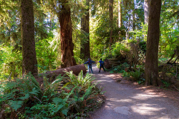 Asian family of mother and son hiking on the pacific northwest      rain forest in Olympic national...