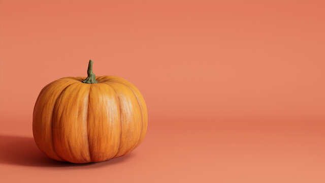 Contemporary Autumn Image with Pumpkin on Salmon Pink background.