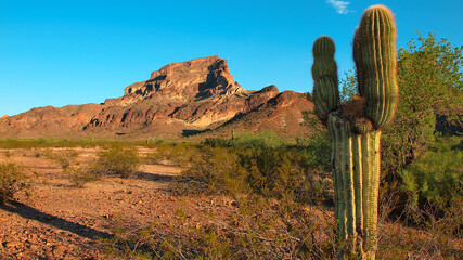Saddleback Mountain Tonopah AZ © Deep Desert Photo