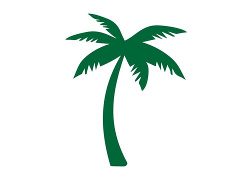 coconuts trees vector flat design illustration