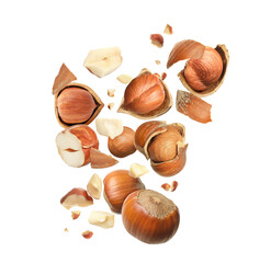 Pieces of tasty hazelnuts falling on white background