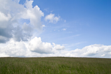 Empty meadow at summer - blue sky and clouds background.