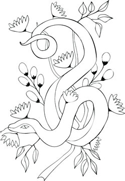 vector illustration of a snake coiled on a branch and flowers