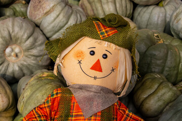 Cute cloth Halloween scarecrow figure with big smile against Cinderella pumpkin background.
