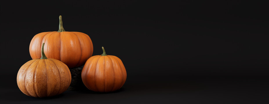 Seasonal background Banner with copy-space. Trio of Pumpkins on Black color. Fall Concept.