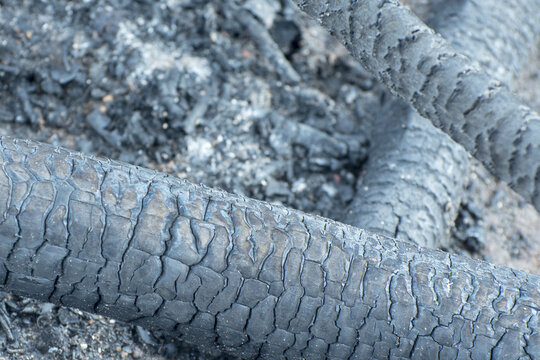 Burnt Black Wood Background Texture.