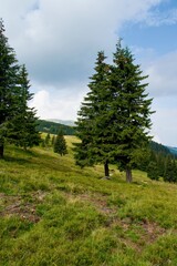 Fototapeta na wymiar Parâng Mountains - Romania