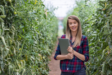 Fototapeta premium Portrait of a smiling young woman agronomist with laptop in the Tomato field. She use a laptop to check the plants. Modern Plant protection and agribusiness concept.