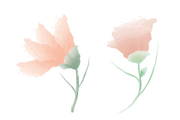 watercolor flower illustration  clipart