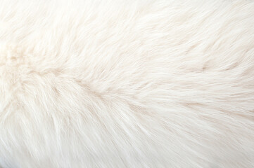 White animal fur. Weasel or cat hair. Fur clothes, white fur coat close up.