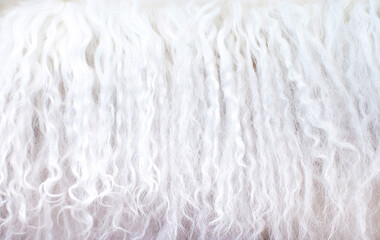 White animal fur. Weasel or cat hair. Fur clothes, white fur coat close up.