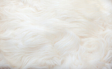 White animal fur. Weasel or cat hair. Fur clothes, white fur coat close up.