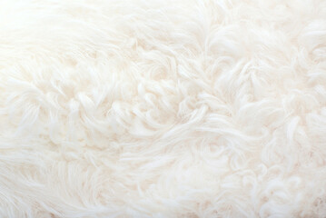 White animal fur. Weasel or cat hair. Fur clothes, white fur coat close up.