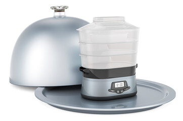 Restaurant cloche with food steamer, 3D rendering