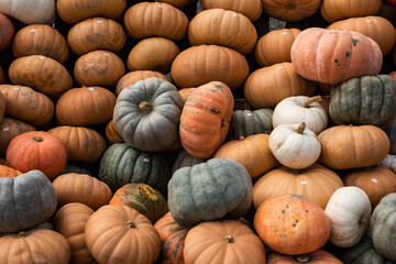 Green, white and orange pumpkins lay stacked on top of each other at a farm stand in upstate New York.