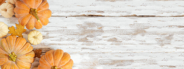 Fall corner border with frosty orange pumpkins on a rustic white wood banner background. Overhead...
