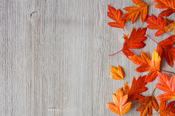 Fall leaves side border over a rustic grey wood background. Above view with copy space.