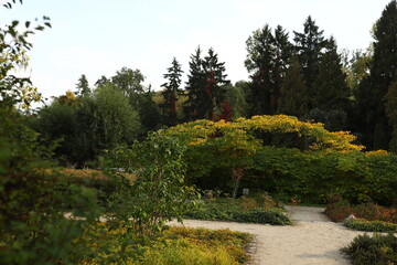 Fototapeta na wymiar Park, jesień, Żelazowa Wola, liście