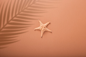 Fototapeta na wymiar Starfishes under the shadow of a palm tree on a brown background. Beach and vacation concept. Banner. Flat lay, top view