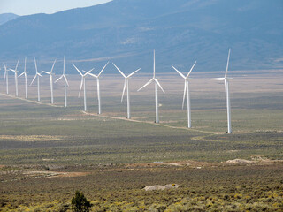 Wind Turbines in the Field