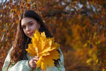 A happy young woman in an autumn park with a bunch of maple leaves in hands