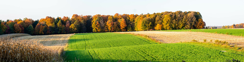 Wisconsin farmland wih corn and hay in late September