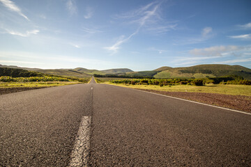 Road at Azores islands, Flores, travel destination, landscape.