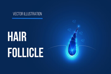 hair follicle concept design with dark blue background vector.