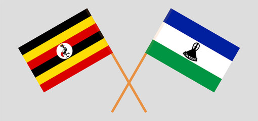 Crossed flags of Uganda and Kingdom of Lesotho. Official colors. Correct proportion