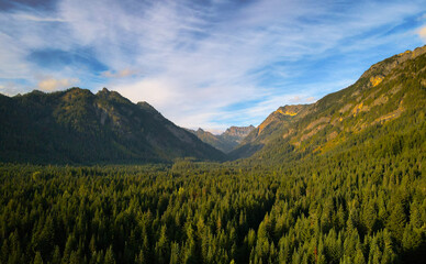 Valley of evergreens from Gold Creek Pond, Washington