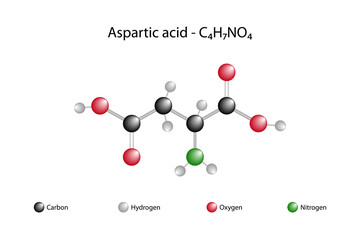 Molecular formula of aspartic acid. Aspartic acid is one of the 20 standard amino acids found in the structure of proteins.