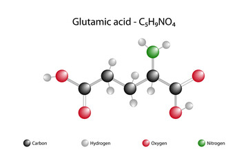 Molecular formula and chemical structure of glutamic acid